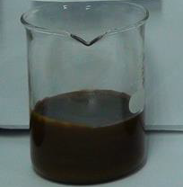 Franco Longhini Processed Palm Acid Oil